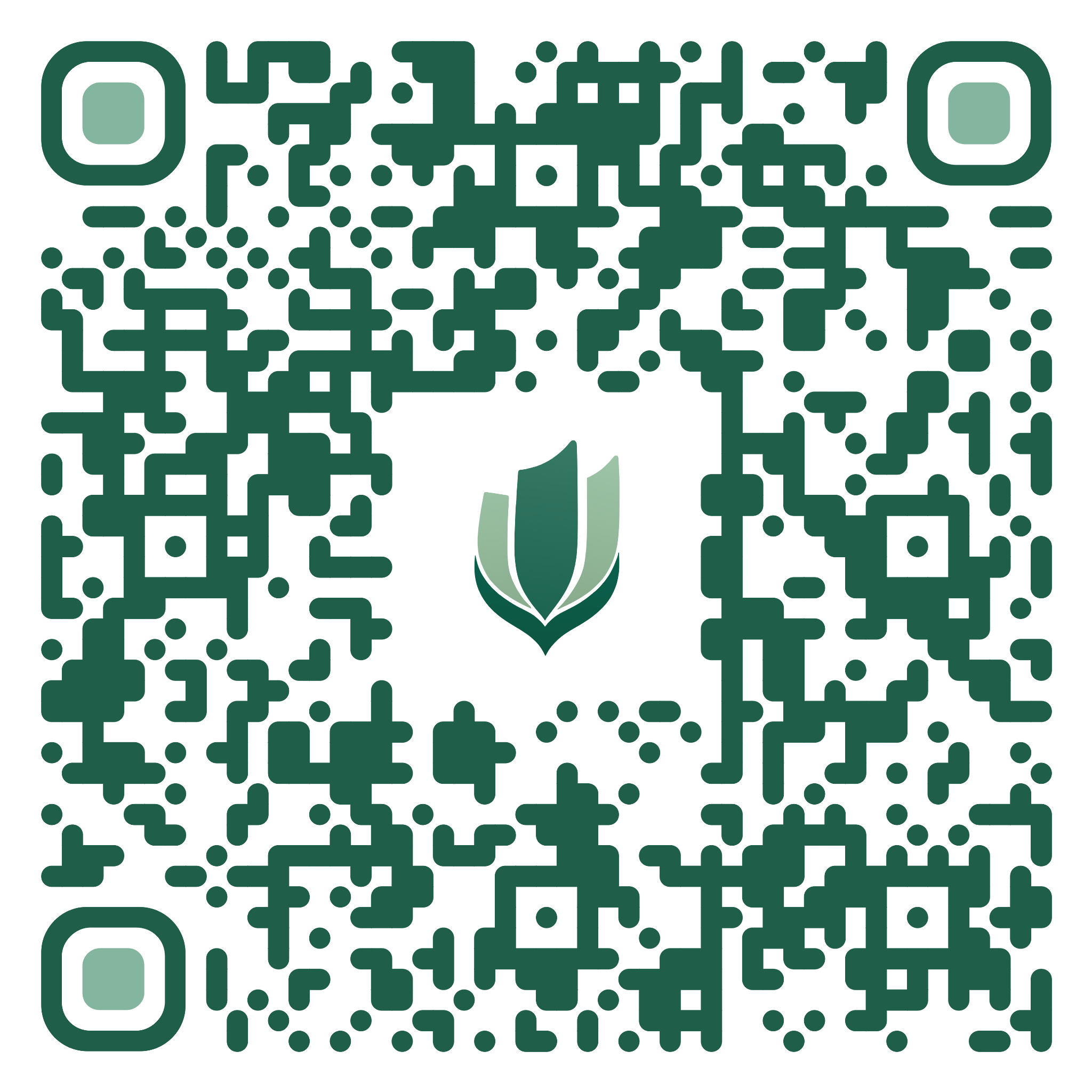 QR Code Pix IPVE